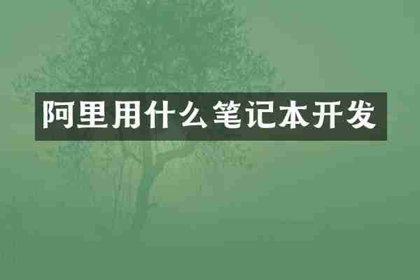 阿里用什么笔记本开发