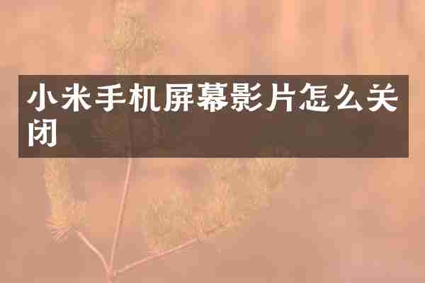 小米手机屏幕影片怎么关闭
