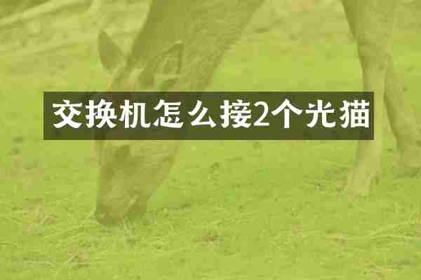 交换机怎么接2个光猫