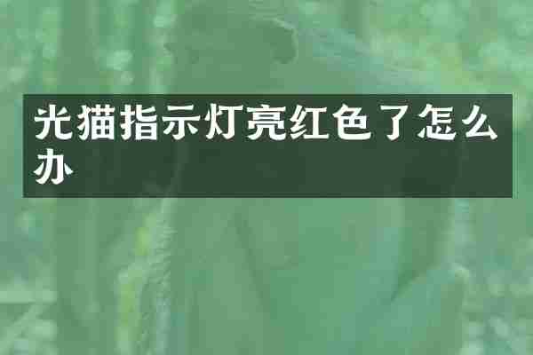 光猫指示灯亮红色了怎么办