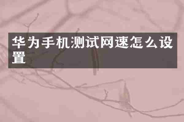 华为手机测试网速怎么设置