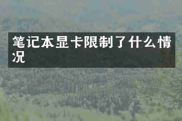 笔记本显卡限制了什么情况