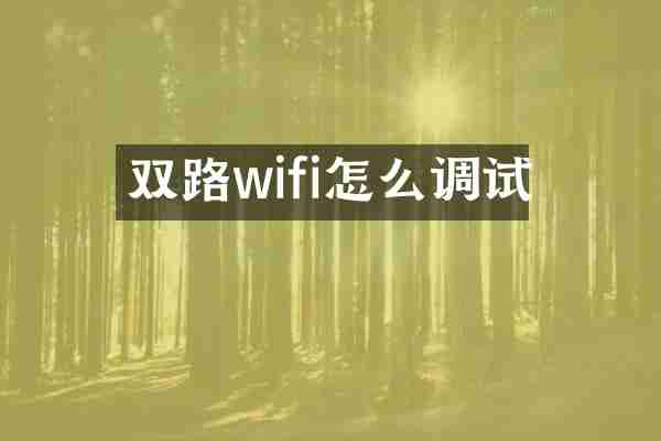 双路wifi怎么调试