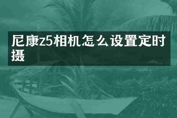 尼康z5相机怎么设置定时拍摄
