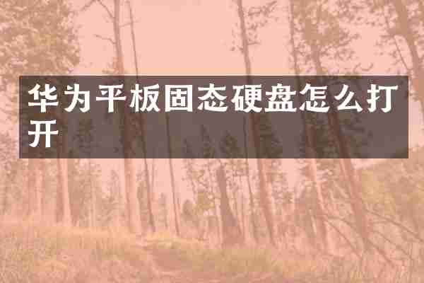 华为平板固态硬盘怎么打开