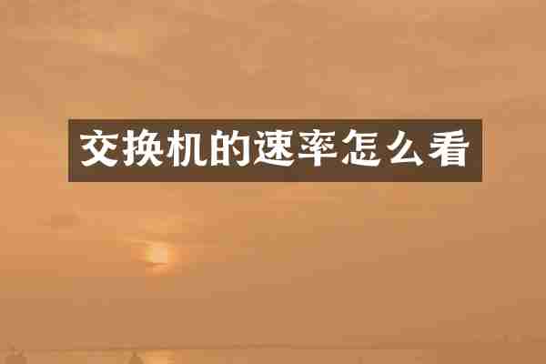交换机的速率怎么看