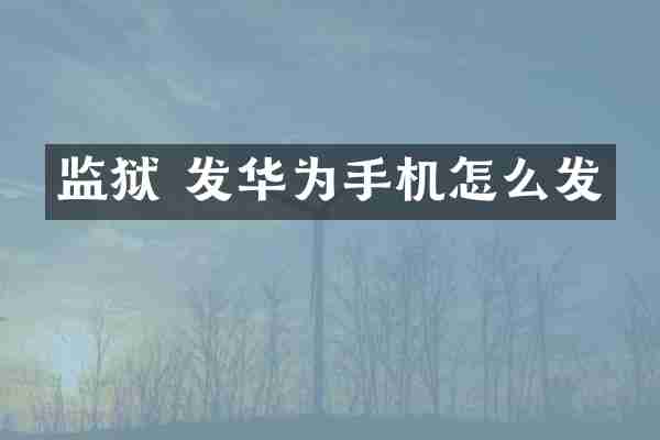 监狱 发华为手机怎么发