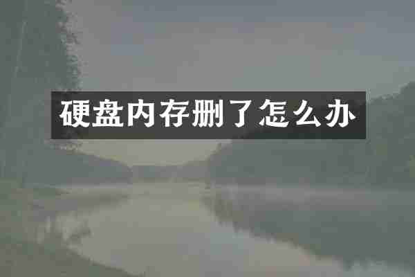 硬盘内存删了怎么办