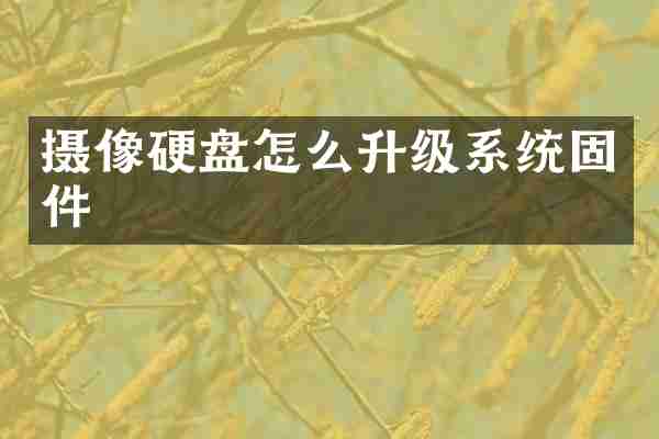 摄像硬盘怎么升级系统固件