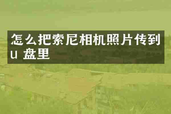 怎么把索尼相机照片传到u 盘里