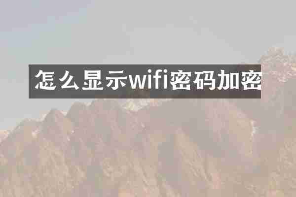 怎么显示wifi密码加密