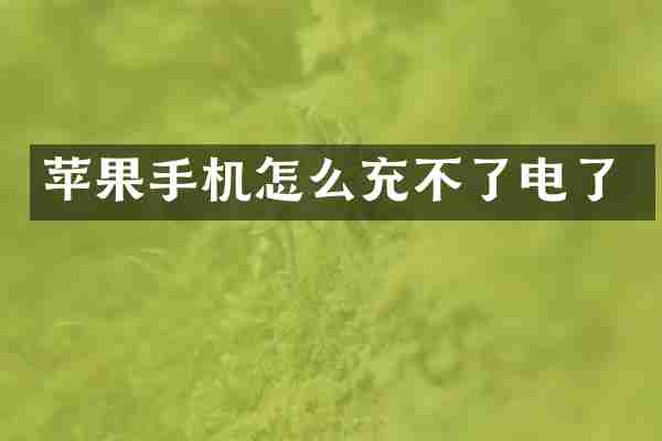 苹果手机怎么充不了电了