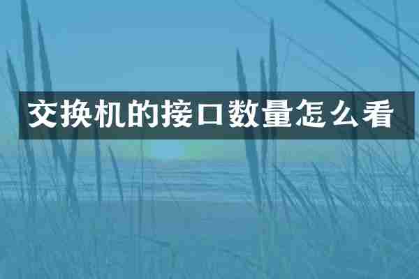 交换机的接口数量怎么看