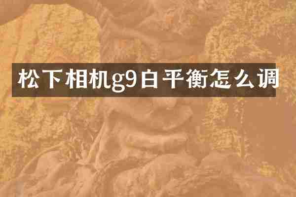 松下相机g9白平衡怎么调