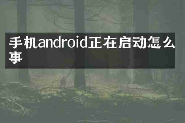 手机android正在启动怎么回事
