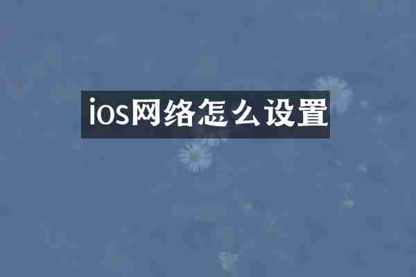 ios网络怎么设置