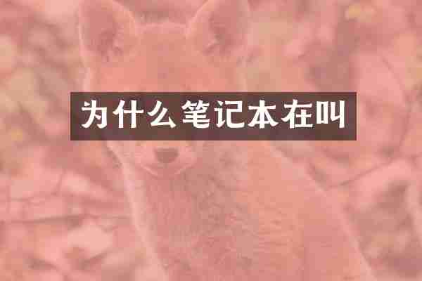 为什么笔记本在叫