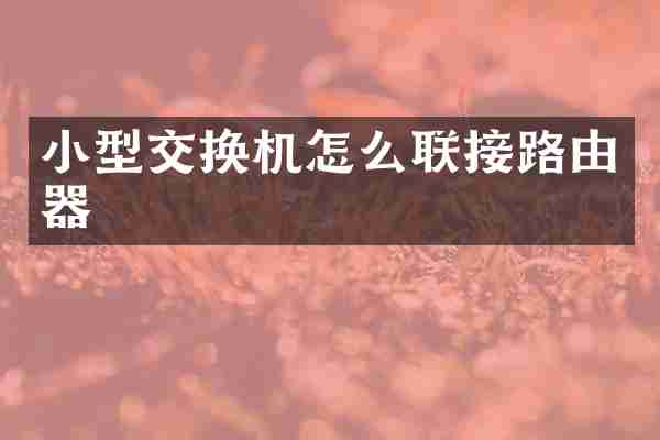 小型交换机怎么联接路由器