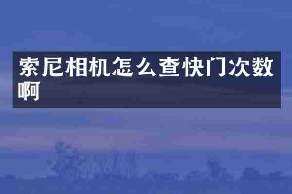 索尼相机怎么查快门次数啊