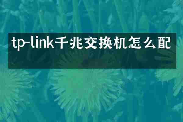 tp-link千兆交换机怎么配置