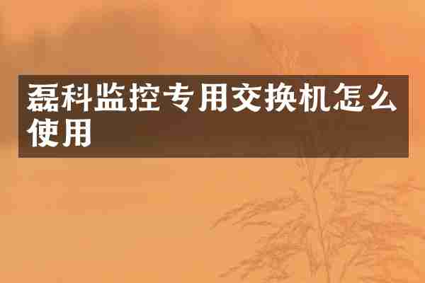 磊科监控专用交换机怎么使用