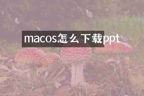 macos怎么下载ppt