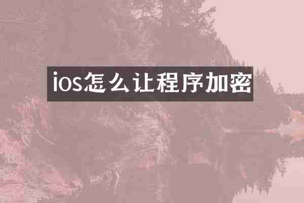 ios怎么让程序加密