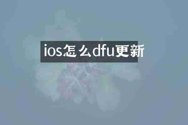 ios怎么dfu更新