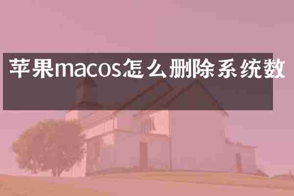 苹果macos怎么删除系统数据