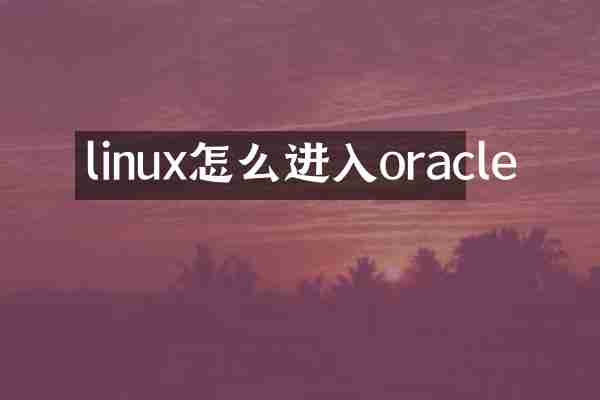 linux怎么进入oracle