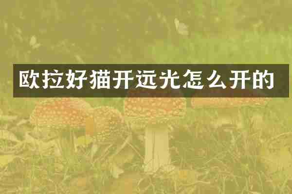 欧拉好猫开远光怎么开的