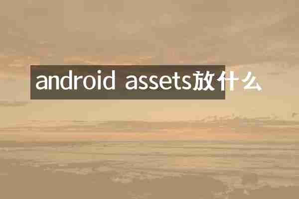 android assets放什么