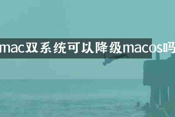 mac双系统可以降级macos吗