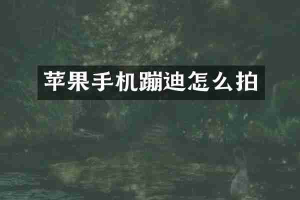 苹果手机蹦迪怎么拍