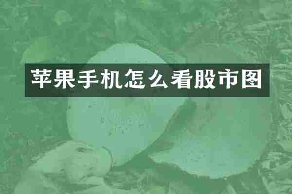 苹果手机怎么看股市图