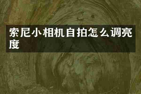 索尼小相机自拍怎么调亮度