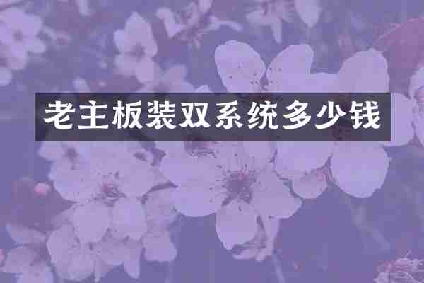 老主板装双系统多少钱