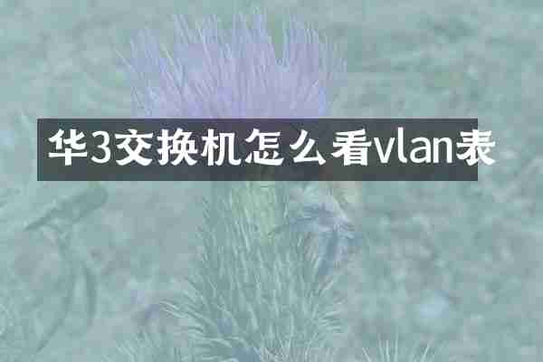 华3交换机怎么看vlan表