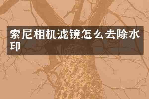 索尼相机滤镜怎么去除水印