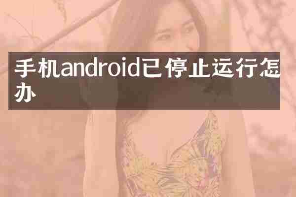 手机android已停止运行怎么办