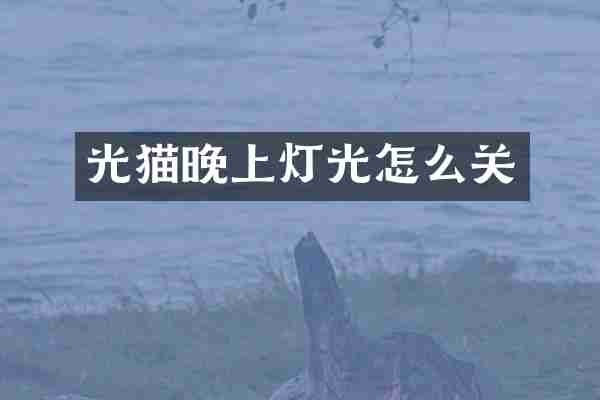 光猫晚上灯光怎么关