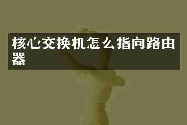 核心交换机怎么指向路由器
