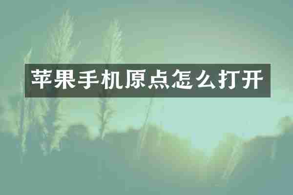 苹果手机原点怎么打开