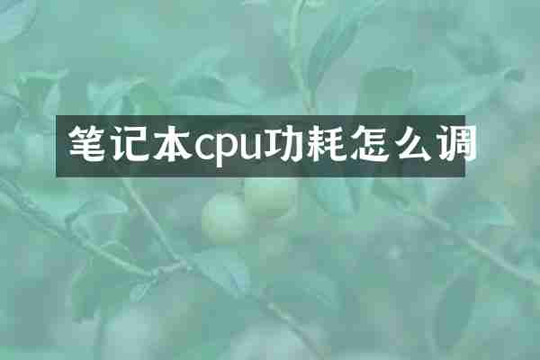 笔记本cpu功耗怎么调