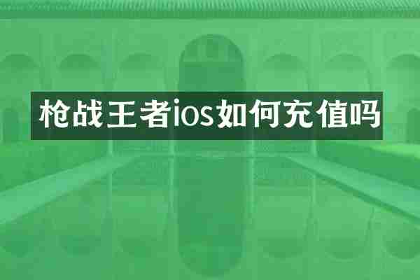 枪战王者ios如何充值吗