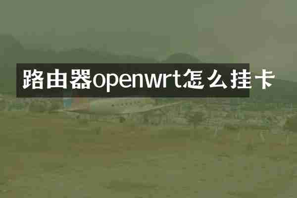 路由器openwrt怎么挂卡