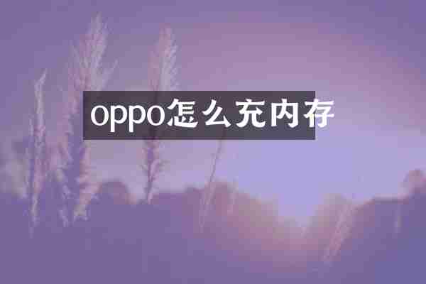 oppo怎么充内存