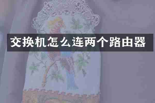 交换机怎么连两个路由器