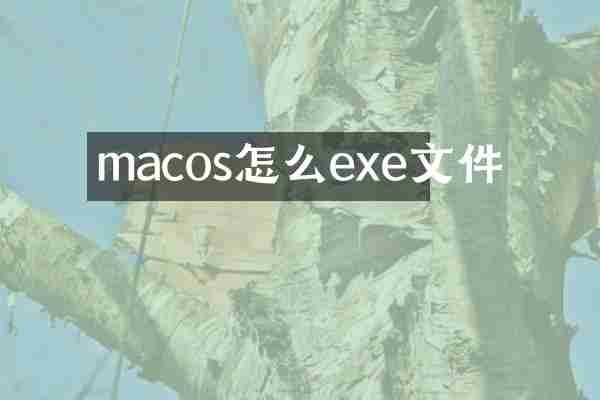 macos怎么exe文件