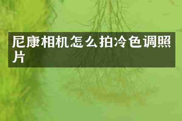 尼康相机怎么拍冷色调照片